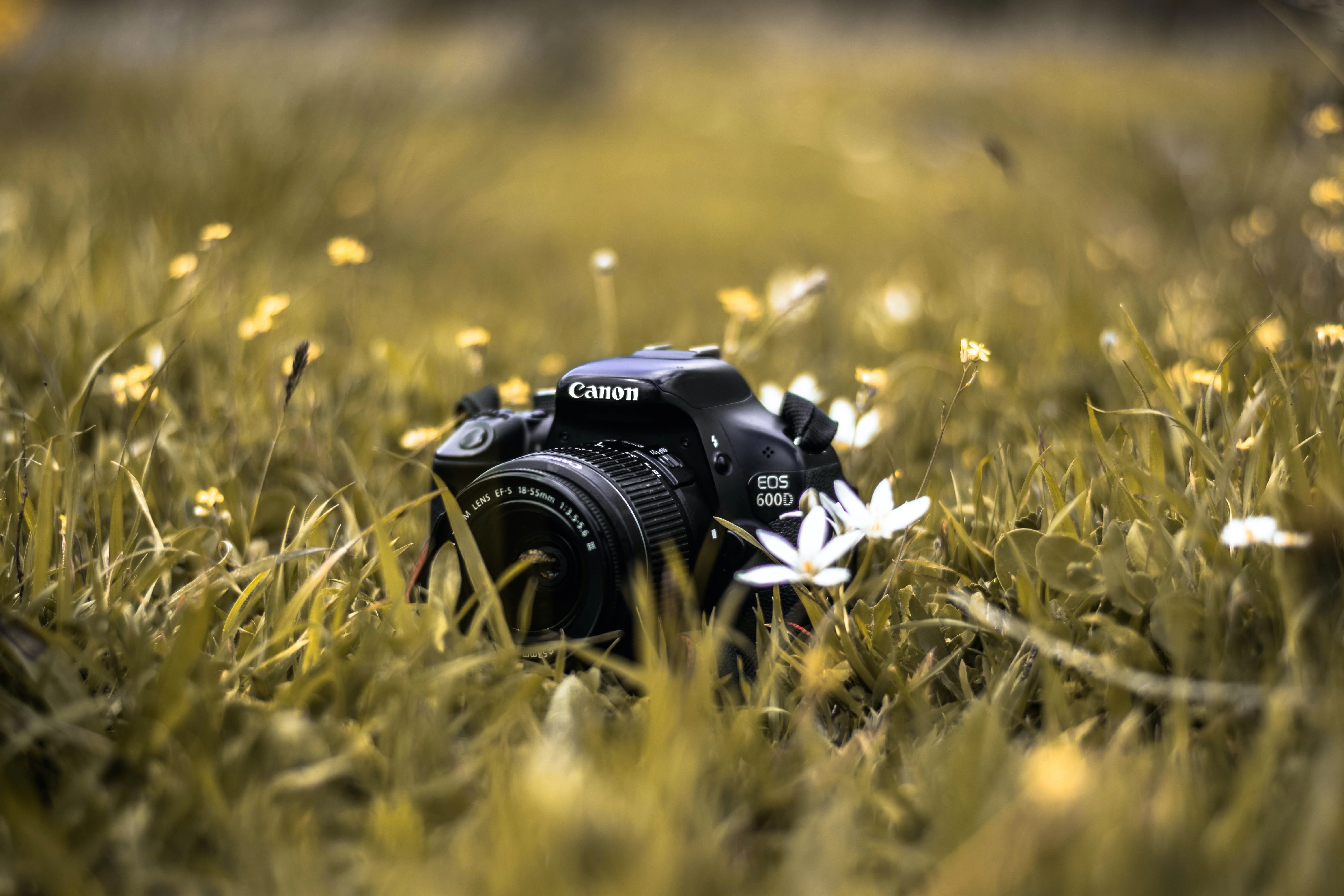 Things you should consider before having a DSLR