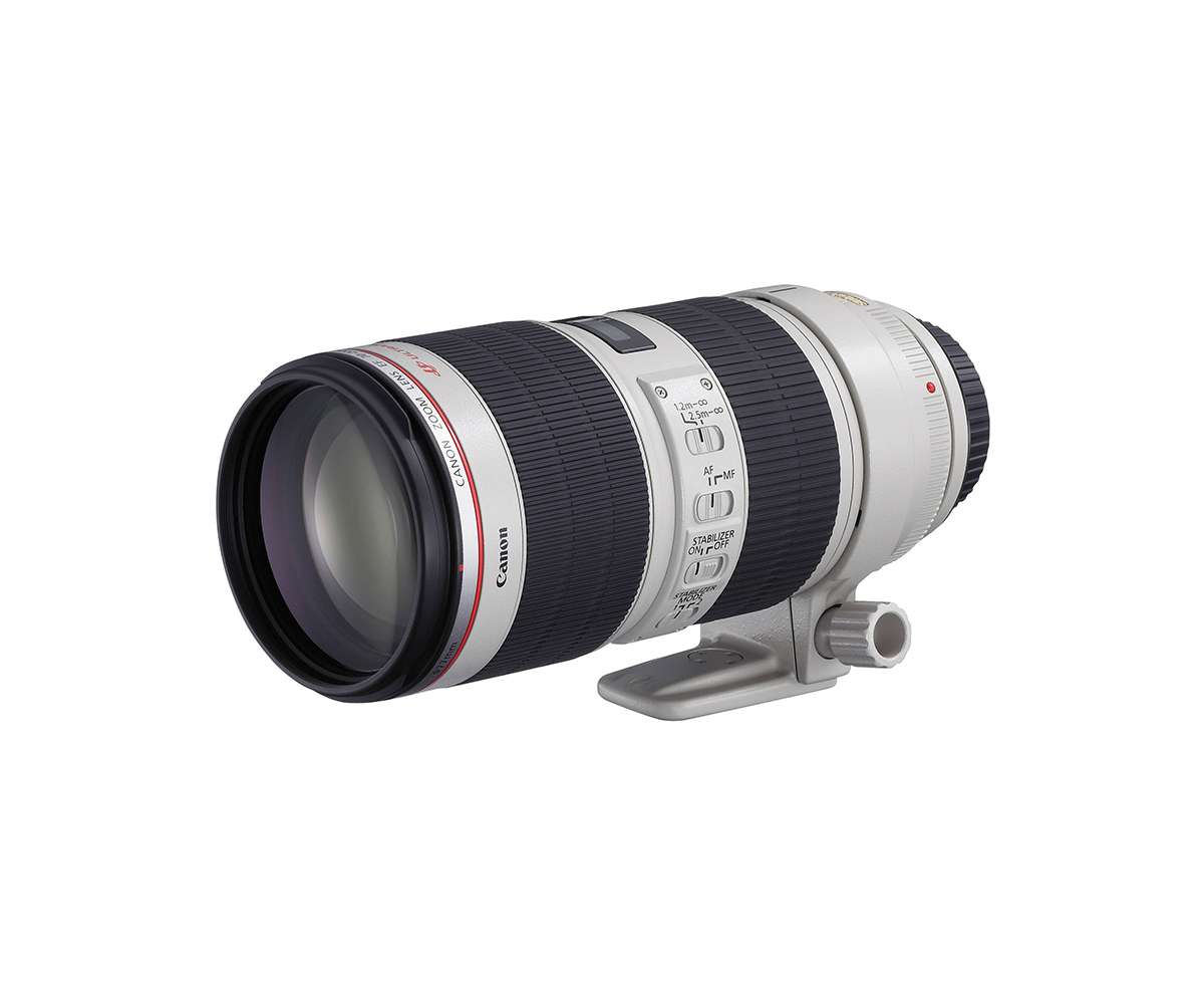 Canon 70-200 Lens